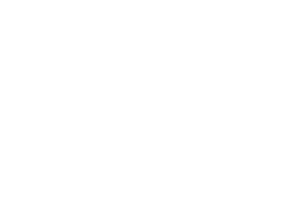 Zé Book